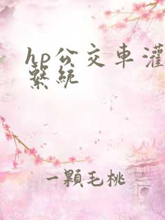 hp公交车灌溉系统