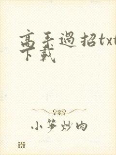 高手过招txt下载