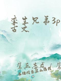 孪生兄弟3ph古文