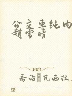 公交车纯肉超H赵雪晴