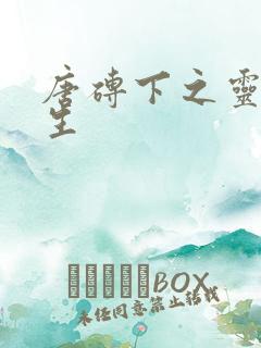 唐砖下之灵域双生