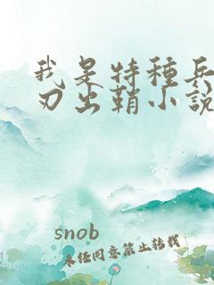 我是特种兵之利刃出鞘小说