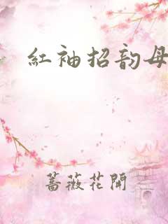 红袖招韵母攻略