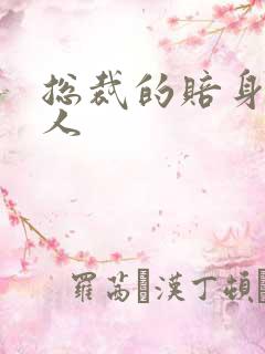 总裁的赔身小情人