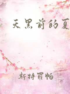 天黑前的夏天