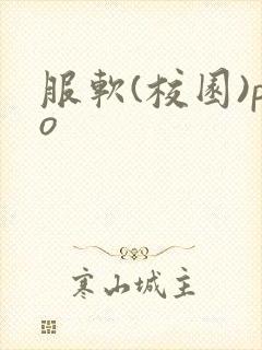 服软(校园)po