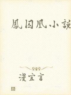 凤囚凰小说