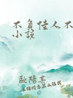 不负佳人不负卿小说