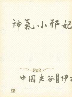 神气小邪妃