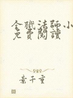 全职法师小说 免费阅读