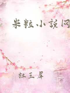 米粒小说网