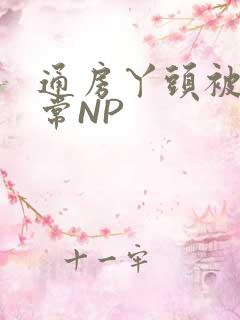 通房丫头被肉日常NP