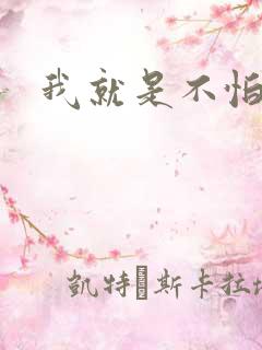 我就是不怕小说