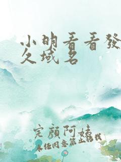 小明看看发布永久域名