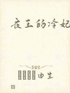 夜王的冷妃