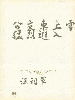 公交车上雪柔被猛烈进入