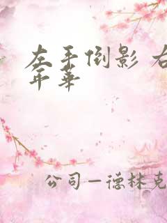 左手倒影 右手年华