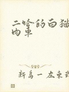 二哈的白猫师尊肉车
