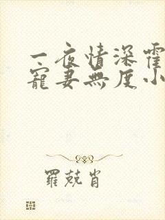 一夜情深霍先生宠妻无度小说免费阅读