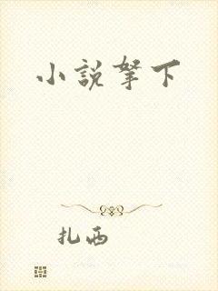 小说拿下