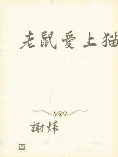 老鼠爱上猫下载