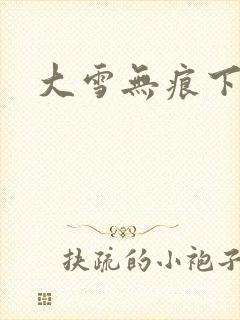 大雪无痕下载