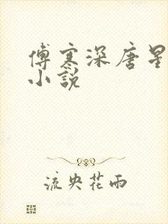 傅寒深唐星挽的小说