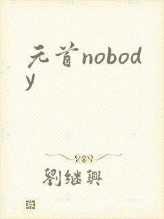 元首nobody