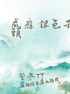 成瘾 银色子弹头