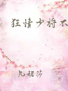 狂情少将不良妻