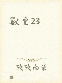 兽皇23