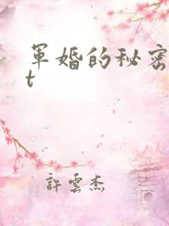 军婚的秘密txt