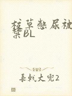 校草憋尿被揉失禁BL