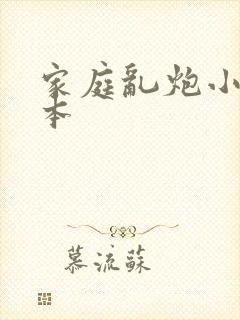 家庭乱炮小说全本