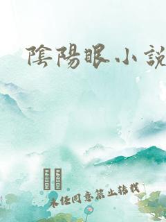 阴阳眼小说