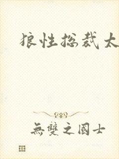 狼性总裁太凶猛