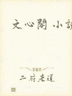 文心阁 小说
