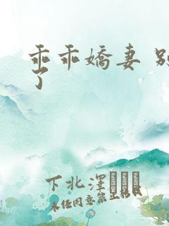 乖乖娇妻 别闹了