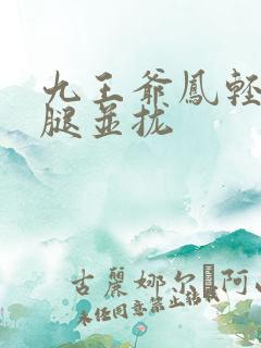 九王爷凤轻尘把腿并拢
