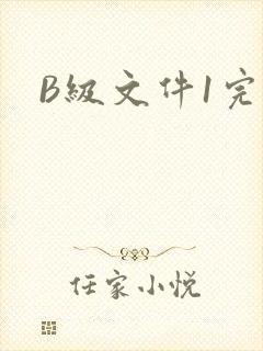 B级文件1完整