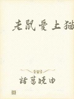 老鼠爱上猫下载