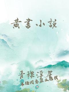 黄书小说