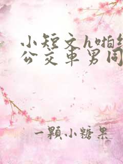 小短文h啪纯肉公交车男同