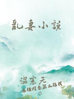 乱妻小说