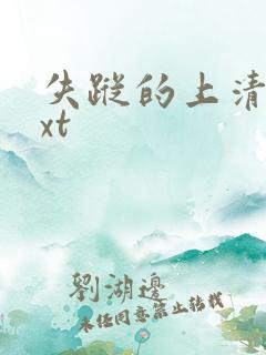 失踪的上清寺txt