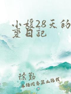 小媛28天的剧变日记