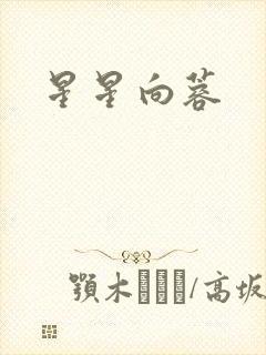 星星向蓉