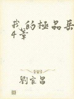 我的极品岳坶34章