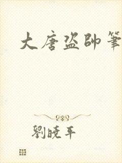 大唐盗帅笔趣阁