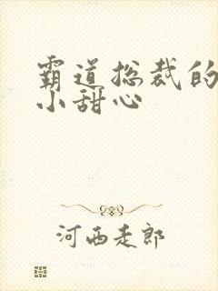 霸道总裁的宠爱小甜心